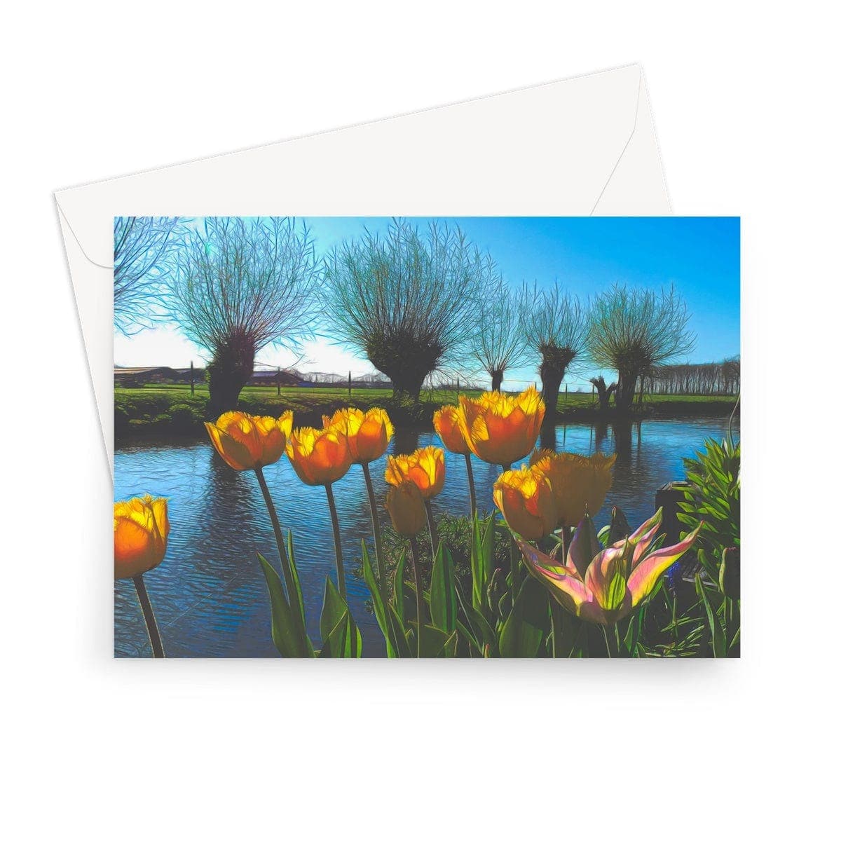 Yellow Tulips in Dutch landscape Greeting Card