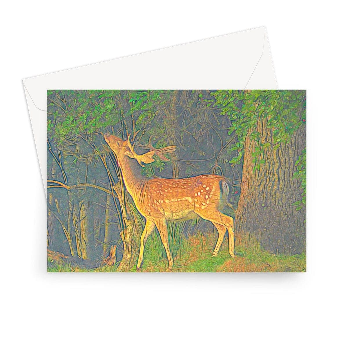 Young deer, Greeting Card