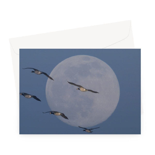 Fly me to the moon, Art on a Greeting Card, by Sensus Studio
